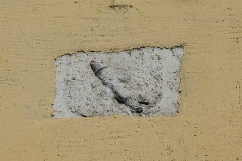 Relief d'un poisson sculpté au-dessus de l'arche de la porte Perrière à Annecy